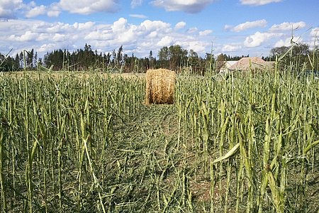 Strohballen ziehen ihre Spur durch Felder