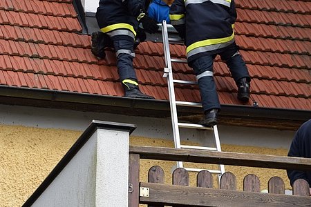 Menschenrettung mittels Steckleiter.